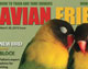 Magazine cover design for Avian Friends